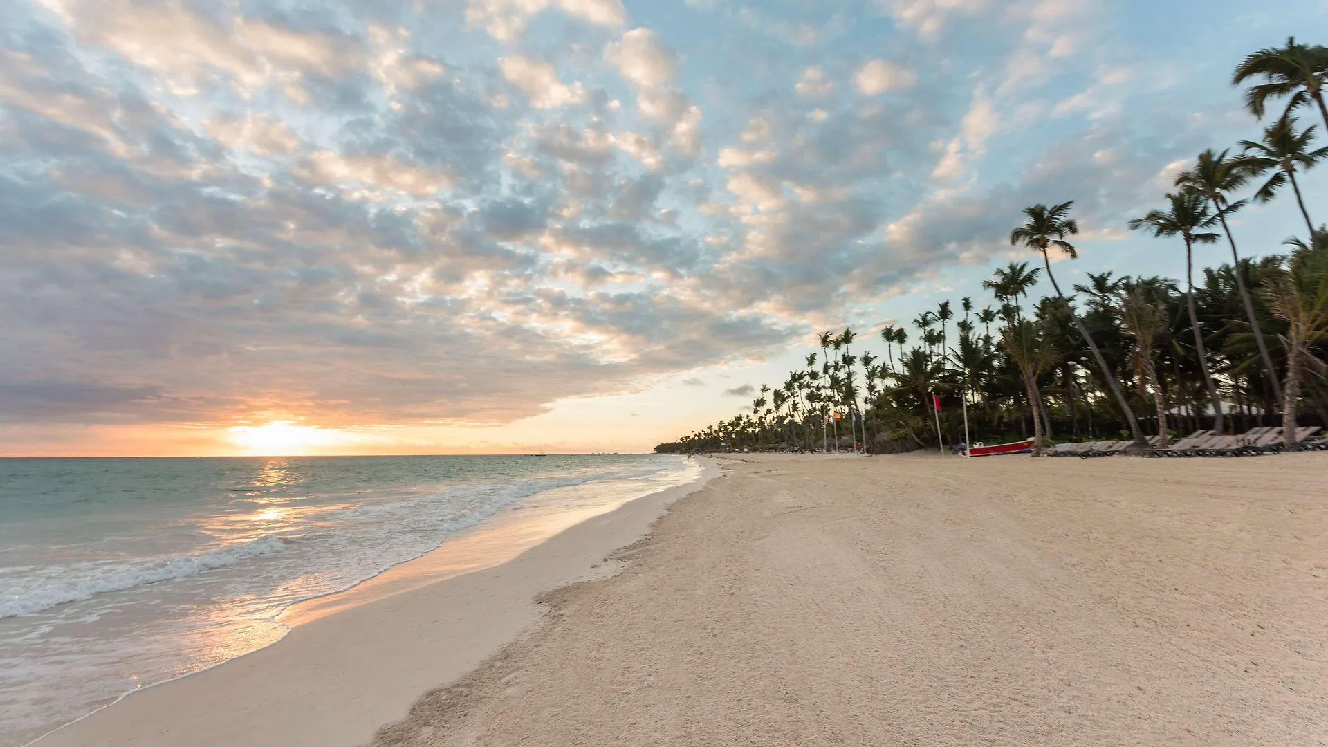 Occidental Punta Cana Hotel República Dominicana