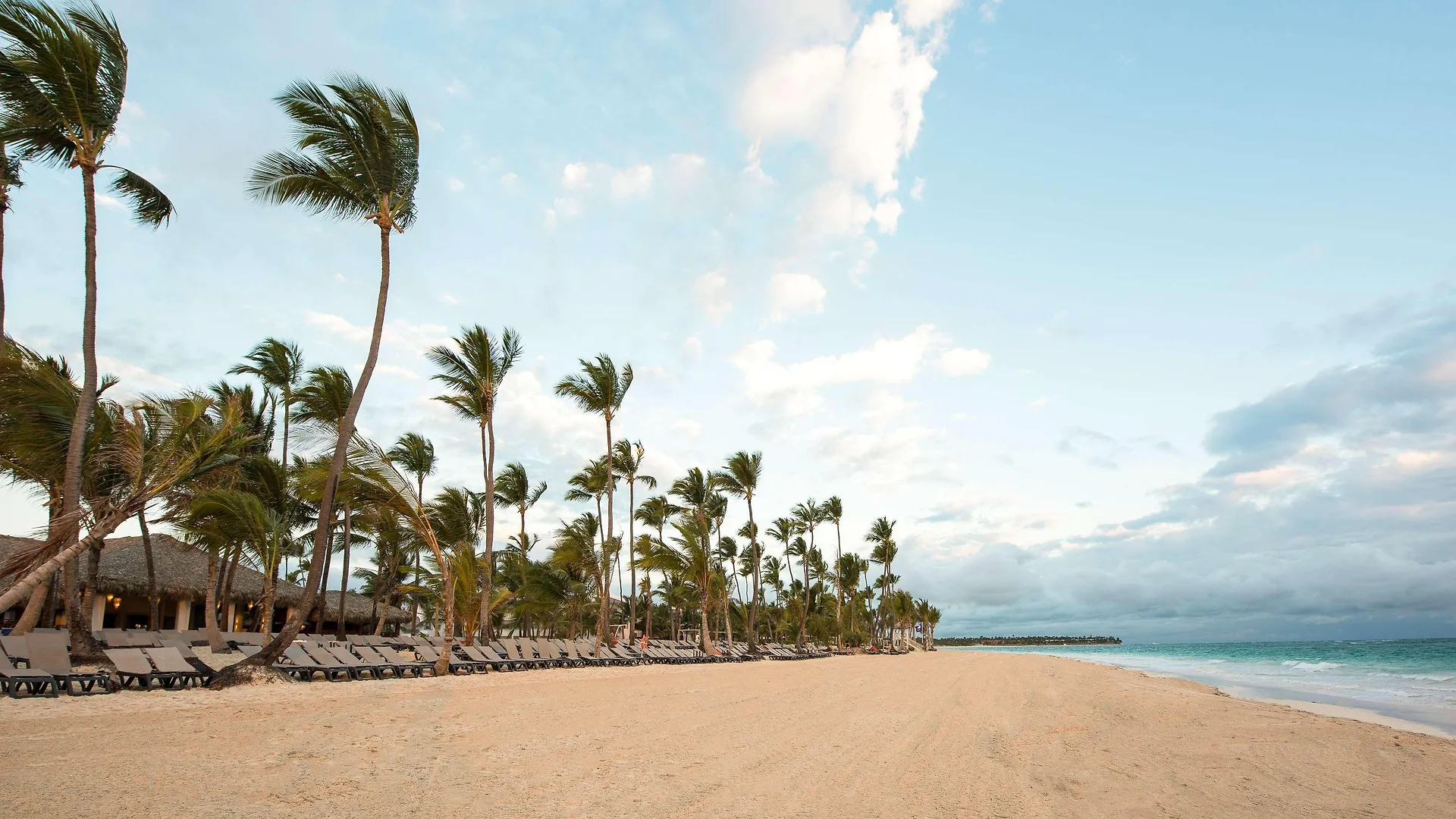 Occidental Punta Cana Hotel Resort